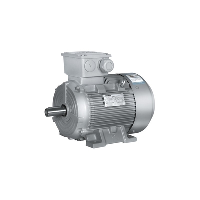 1LE0003-1BB23-3AA4 Siemens SIMOTICS SD-motor voor lage-spanningstoepassingen